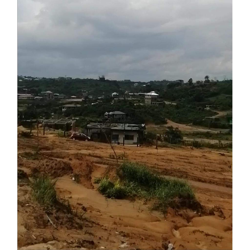 Terrain à vendre d'une superficie de 4 hectare à logbessou lieu dit ngoma à 5minutes de l'antenne CRTV 